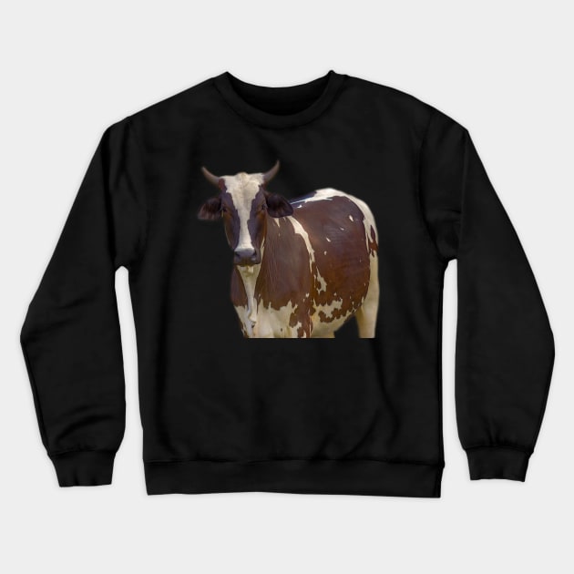 cow Crewneck Sweatshirt by rickylabellevie